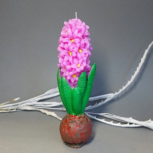 svíčka hyacint růžový