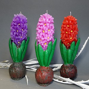svíčka hyacint