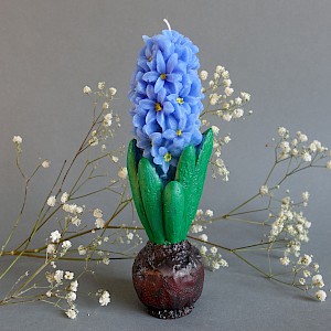 svíčka hyacint modrý