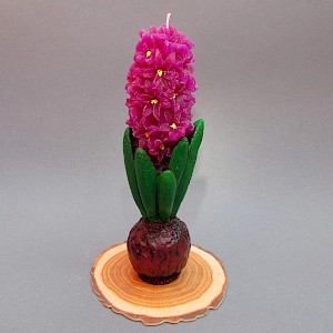 svíčka hyacint purpurový